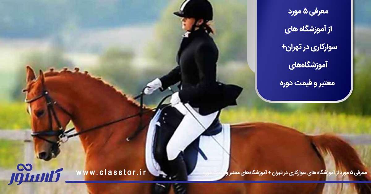 معرفی 5 مورد از آموزشگاه‌ های سوارکاری در تهران + آموزشگاه‌های معتبر و قیمت دوره