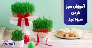 آموزش سبز کردن سبزه عید