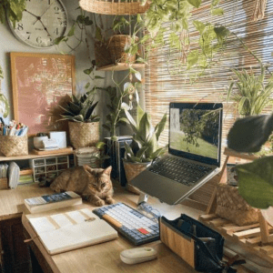 اموزش تخصصی فیزیک و زیست شناسی و عربی